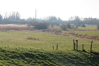 De Wageningse uiterwaarden