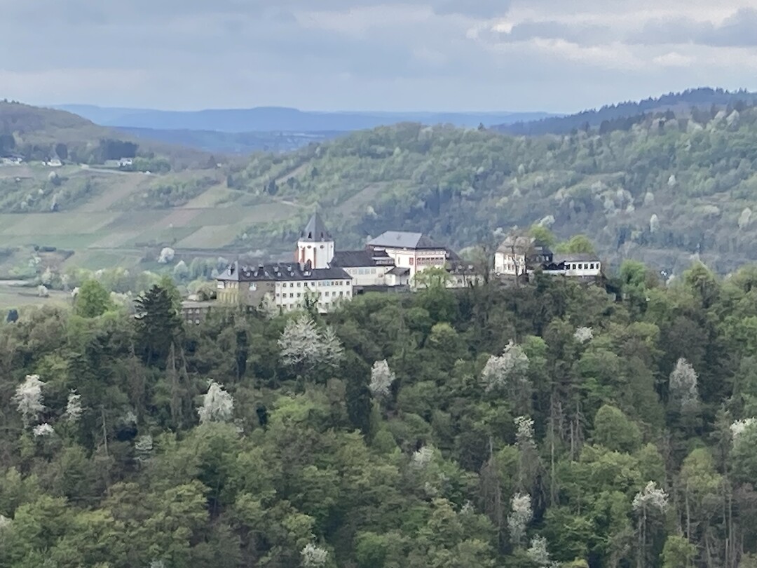 Marienburg op de top