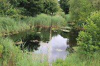Waterpartij