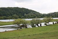 Zicht op de Grebbeberg