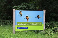 Welkom in het Fochteloerveen