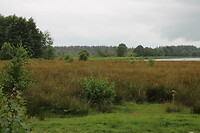 Fochteloerveen