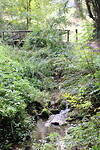Rio Narcea