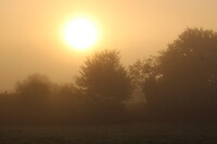 Zo mooi!