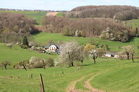Lieflijk landschap
