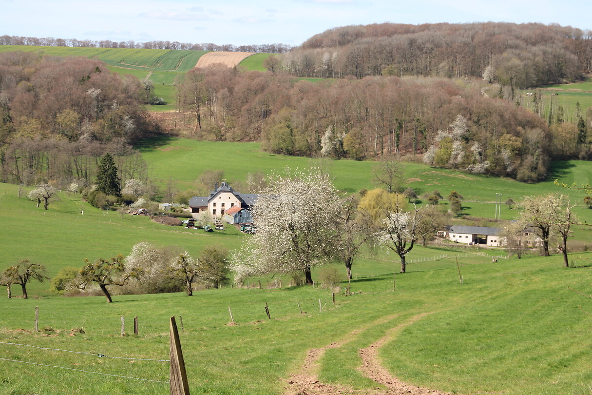 Lieflijk landschap