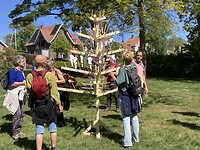 Vredesboom