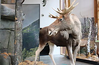 In het Nork Natursenter Hardanger