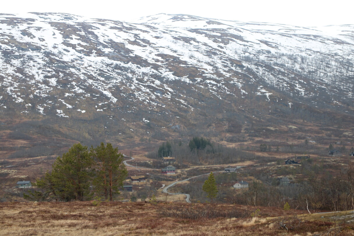 Hardangervidda