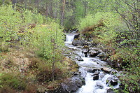 Water is er overal