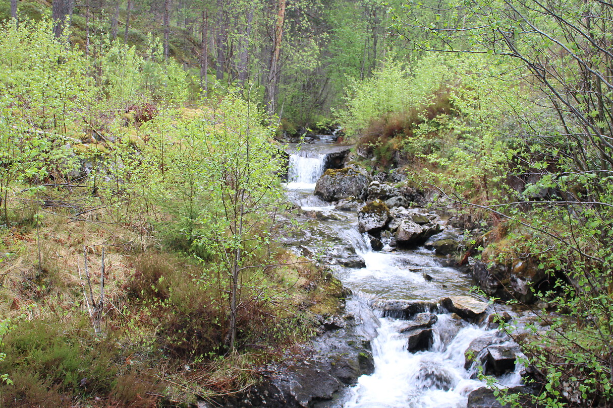 Water is er overal