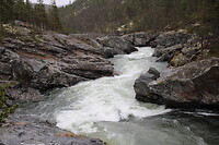 Ridderspranget