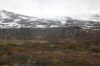 Desolaat landschap