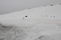 Zoveel sneeuw