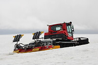Sneeuwbully