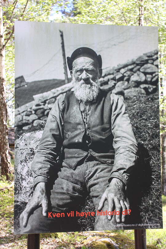 Prachtige kop
