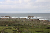 Aan de kust