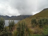 SAM_3493