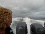 SAM_3774