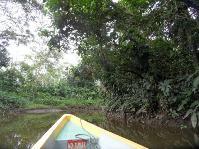 SAM_4007