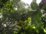 SAM_4033