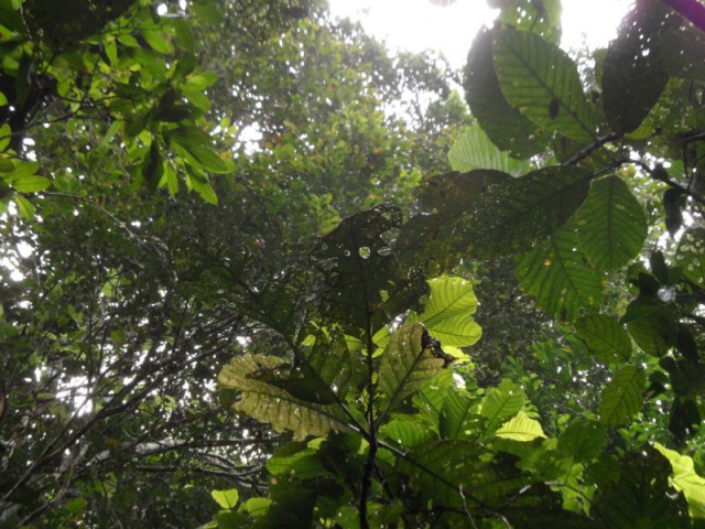 SAM_4033