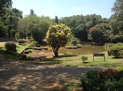De botanische tuin