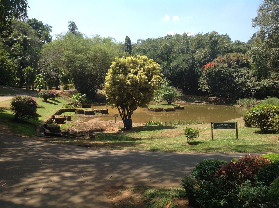 De botanische tuin