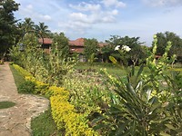 De tuin van mijn verblijf in Anuradhapura