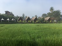Het resort in Anuradhapura waar ik 1 nacht verblijf