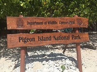 Snorkelen op pigeon eiland
