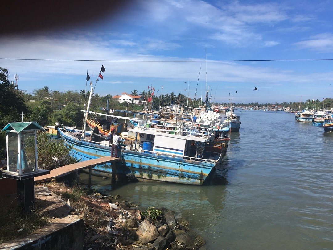 De haven