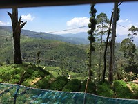 Vanuit de trein genomen