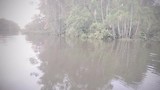 Een tochtje met de kano door de jungle.