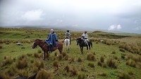 Paardrijden in het Cotopaxi NP.
