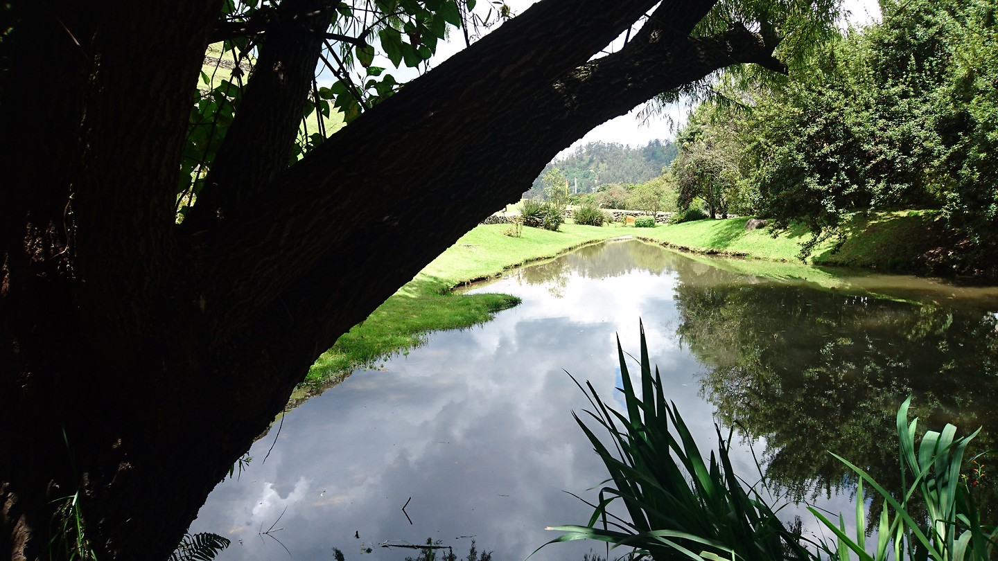 Mooi park in Cuenca.