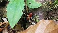 20180317_092145