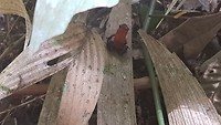 20180317_100010