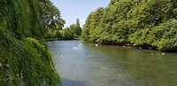 20180521_142414