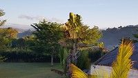 20191024_054748