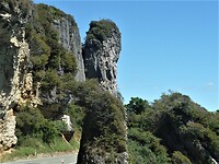 P1020415 (2)