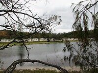 Na het ontbijt wandelen langs het strand van de camping in Nambucca Heads.