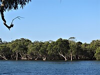 Uitzicht vanaf onze camping Holiday park bij Jervis Bay.