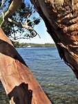Uitzicht vanaf onze camping Holiday park bij Jervis Bay.