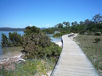 Wandeling over een steiger langs het meer van Merimbula.