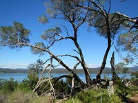 Zicht op het meer van Merimbula.
