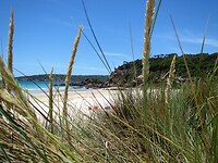Stranden van de Merimbula Main Beach.