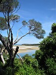 Op weg naar de kust bij Mallacoota.
