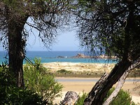 Op weg naar de kust bij Mallacoota.