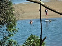 Heerlijk afkoelen in een lagune bij Mallacoota.